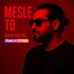 دانلود آهنگ مجید رضوی مثل تو (ریمیکس دی جی Fred)